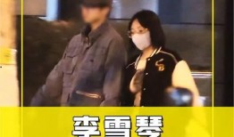 刘大锤爆料男仆视频,男仆视频背后的真实故事